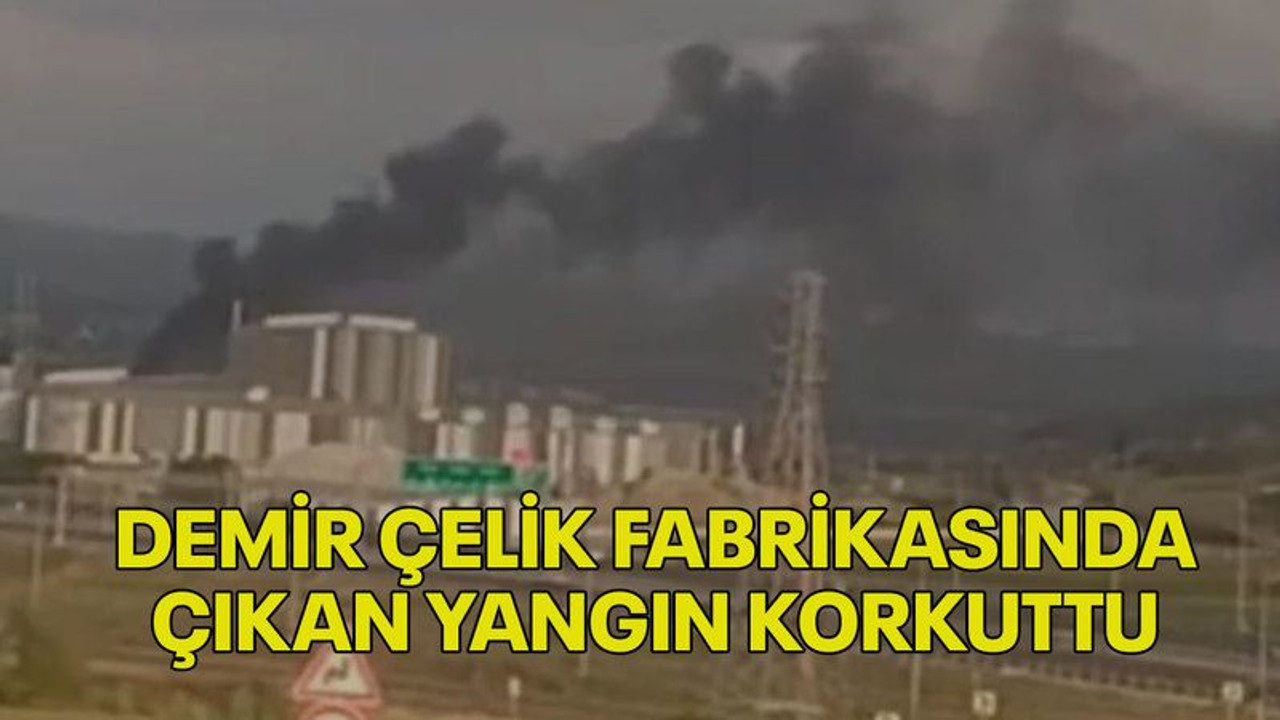 Demir çelik fabrikasında çıkan yangın korkuttu